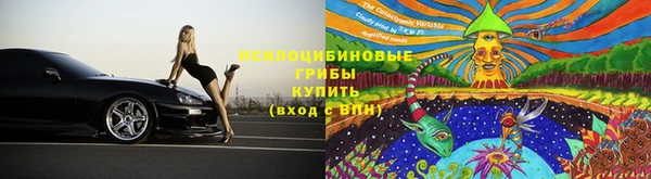 соль курить ск Алексеевка