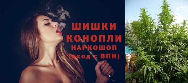 дмт Медвежьегорск